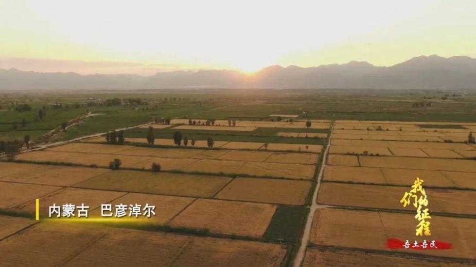 中國碗里裝滿中國糧！看，這片神奇的土地如何創(chuàng)造奇跡...