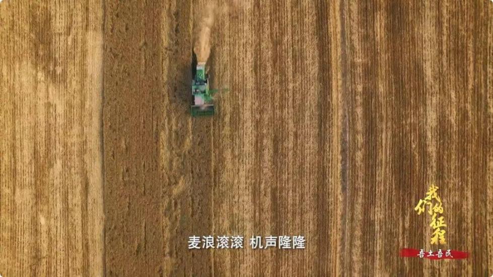 中國碗里裝滿中國糧！看，這片神奇的土地如何創(chuàng)造奇跡...