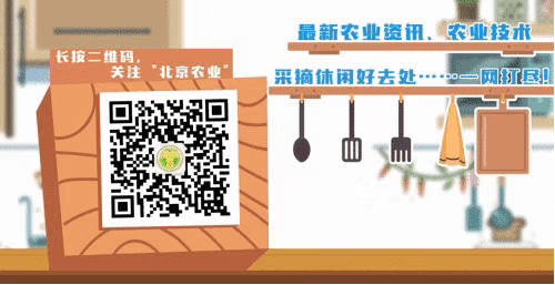 今年首次實(shí)施農(nóng)機(jī)報(bào)廢更新補(bǔ)貼