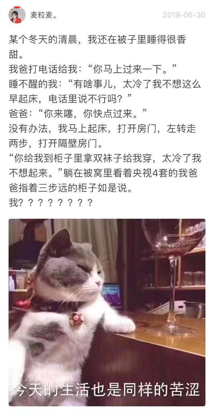 老父亲日常(你的爸爸做过哪些让你哭笑不得的事？无厘头老父亲的有爱日常)