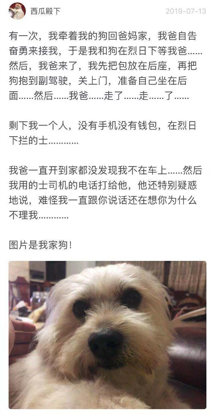 老父亲日常(你的爸爸做过哪些让你哭笑不得的事？无厘头老父亲的有爱日常)