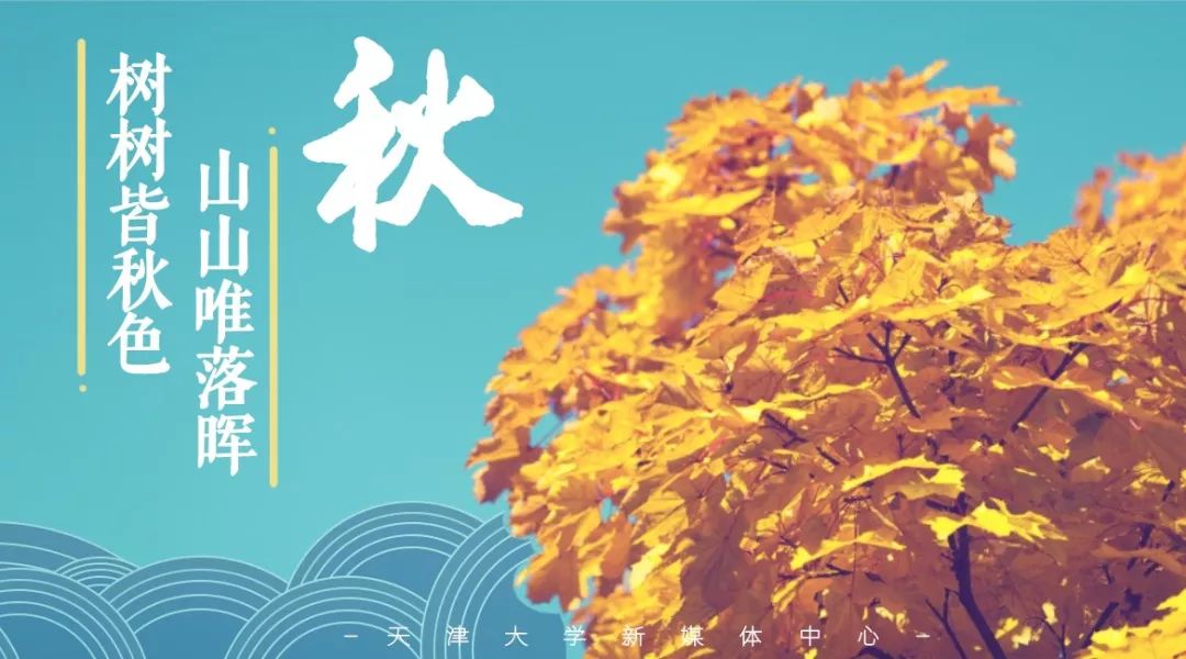 考博不？天津大学2020年博士学位研究生招生简章来啦！