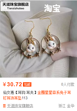 卖饰品的店（在饰品店老板处可以买到）