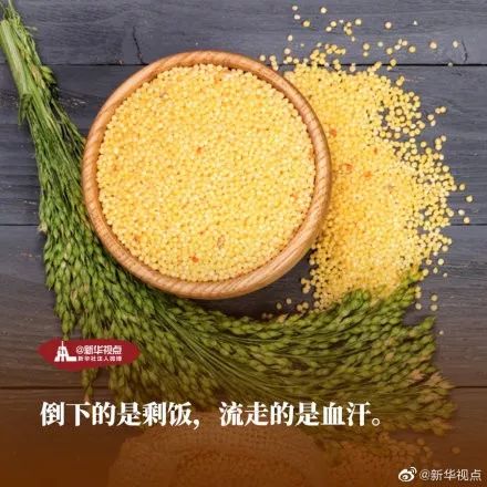 世界粮食日 | 品品这些关于粮食的名言名句，你知道多少？