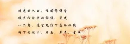 每日好诗 | 南岳，有雾的早晨