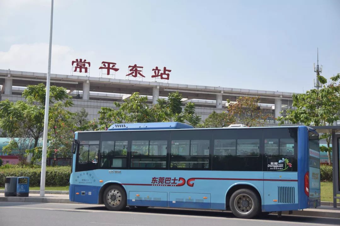 【重磅】途经塘厦的这些公交线路周日调整，票价降低，乘车码上线