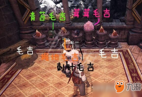 《怪物猎人世界冰原》毛吉怎么找？毛吉刷新位置捕获技巧攻略