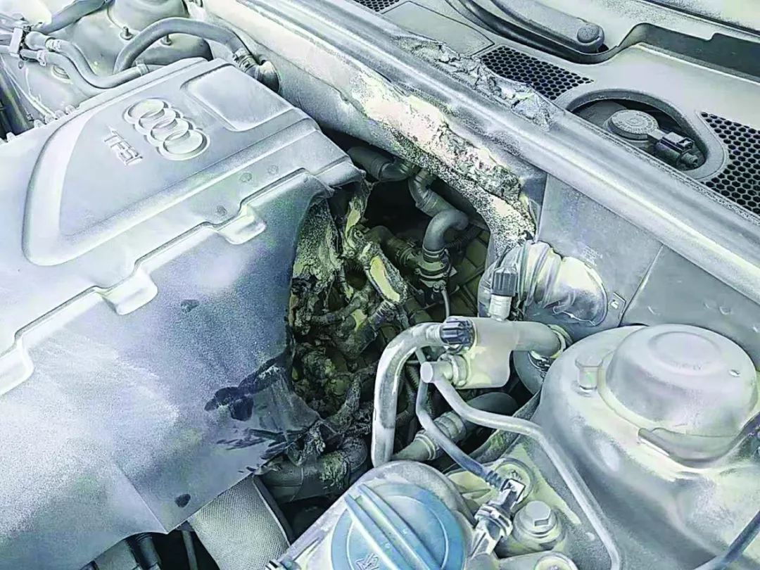 「可怕」齐齐哈尔小伙刚买5天的奥迪车，突然自燃起火！……