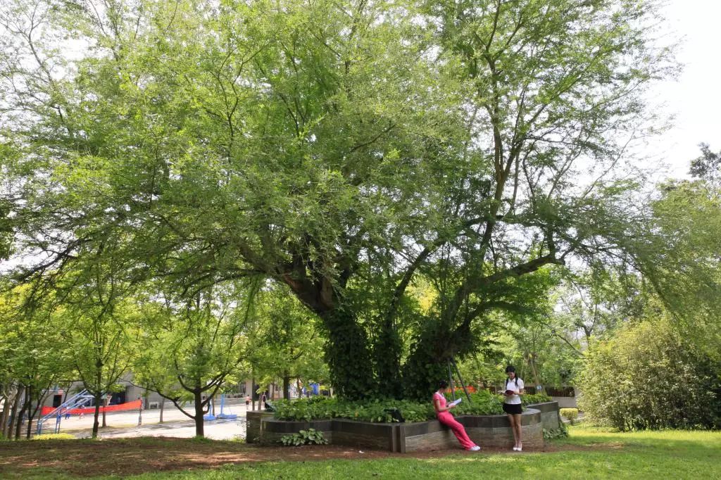 岭南师范学院新校区要来了！总投资18.94亿元！1500亩