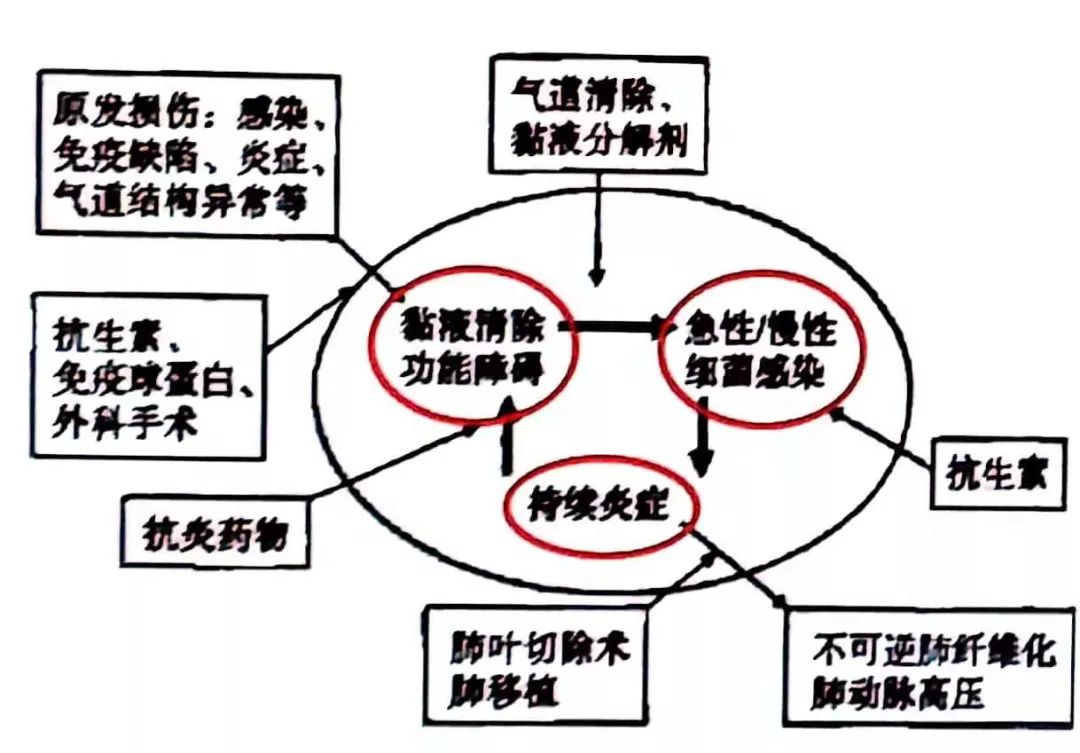 孩子咳嗽老不好，原因可能不仅仅是感冒