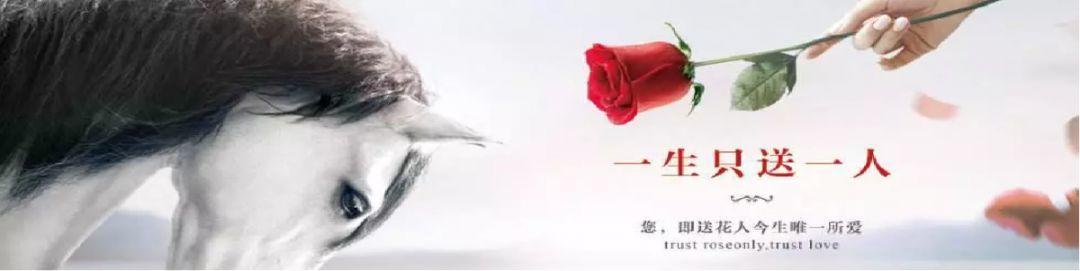关于品牌营销，我总结了3个高阶方法论