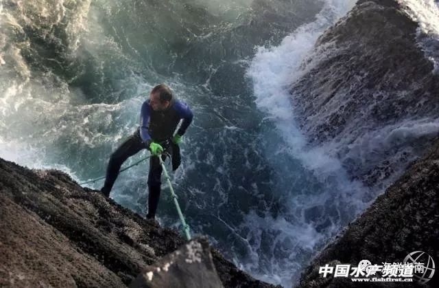 被誉为来自“地狱”的海鲜，上千元一斤，每年都有人为此丧命