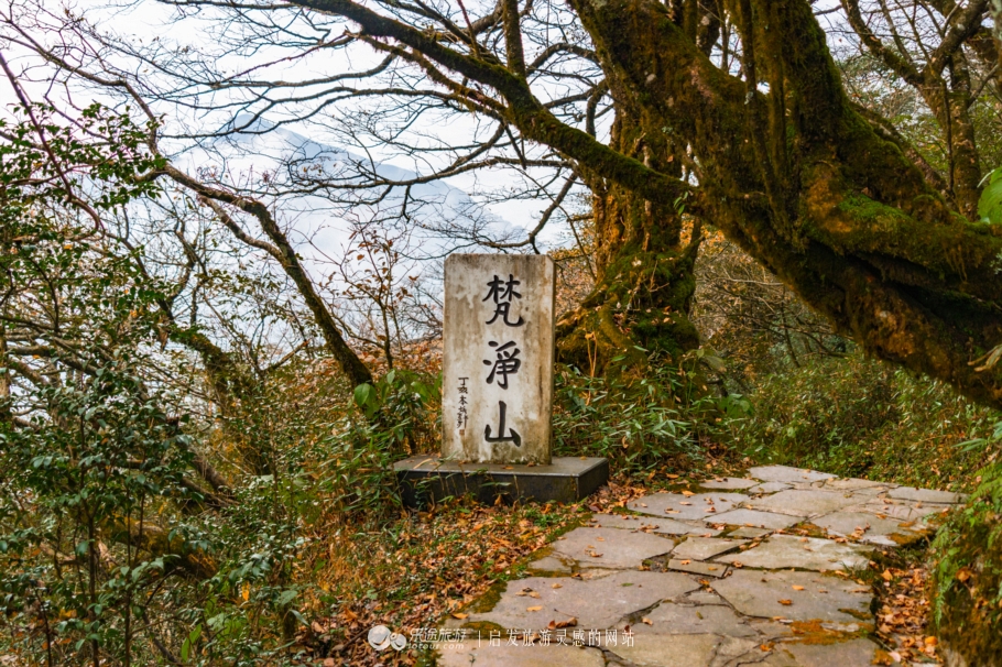 遇见，天空之城梵净山