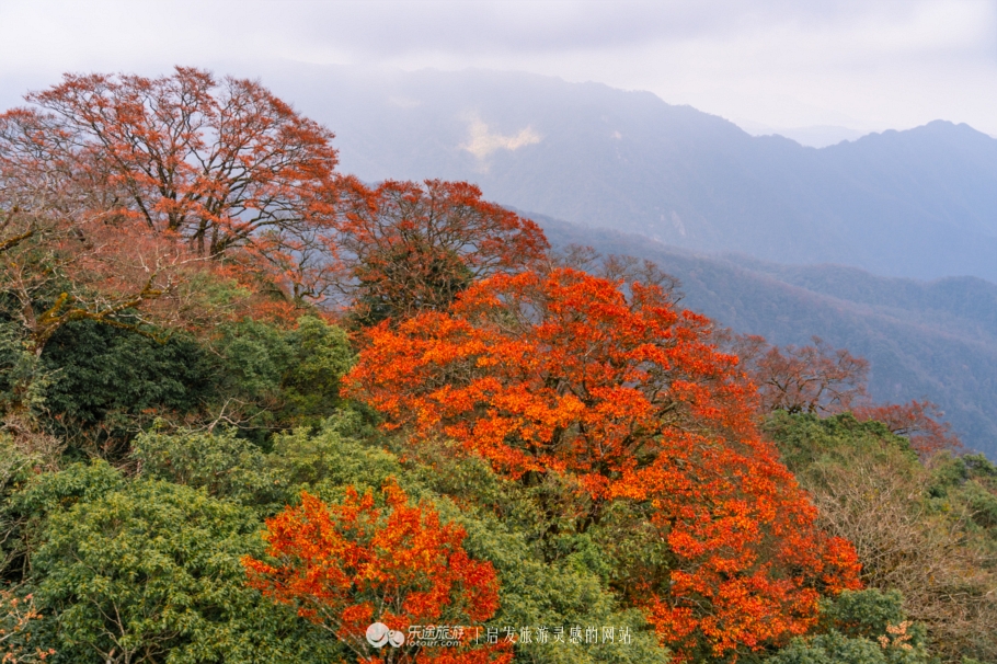 遇见，天空之城梵净山