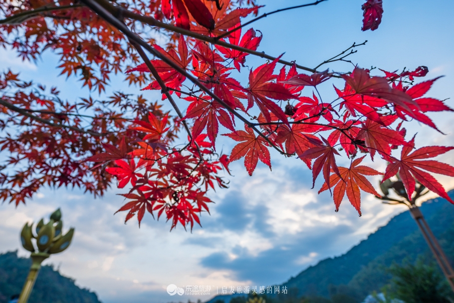 遇见，天空之城梵净山