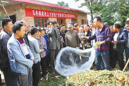 定西臨洮：洮河兩岸產(chǎn)業(yè)旺