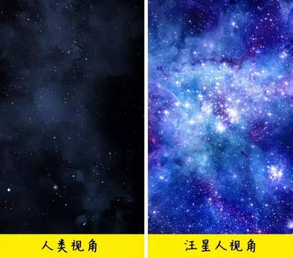 汪星人能看见“鬼”？科学家这么解释