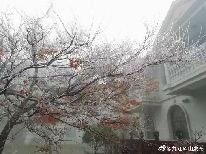 冰冻！江西这里一夜之间变成这样！气温继续下降，有些地方要停电......