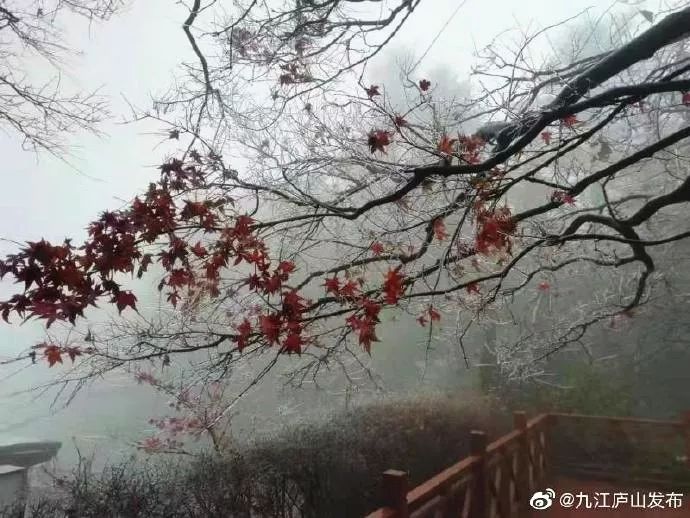 冰冻!江西这里一夜之间变成这样!气温继续下降,有些地方要停电......
