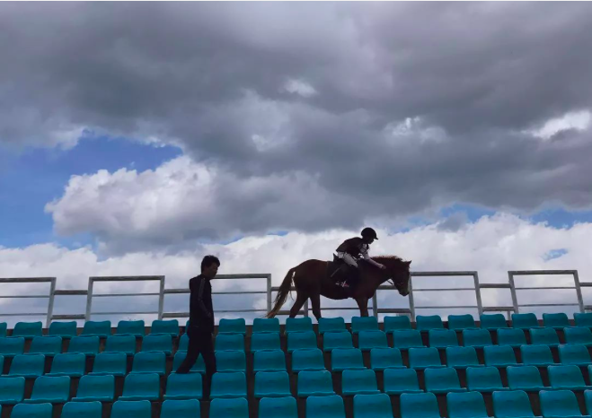 让孩子在家上学的中产家长们