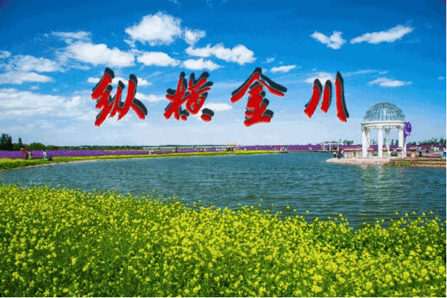 甘肃考生看过来，“陇政通”可以查询高考录取结果了！