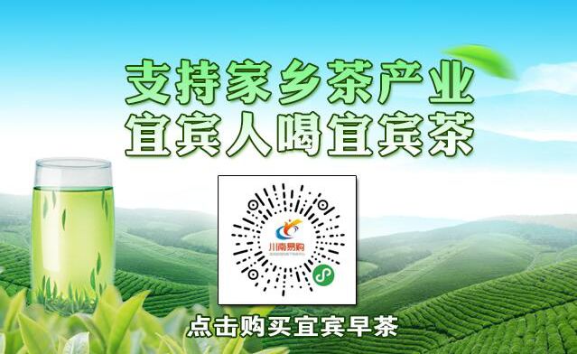 最新发布！宜宾14个车站客运班线发车情况！所有区县都有……