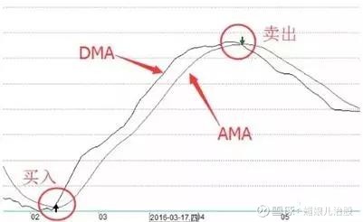 DMA指标