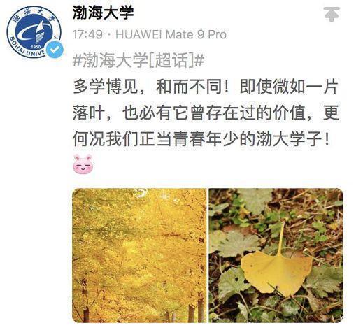 ao3是啥意思 王思聪点赞肖战ao3事件怎么回事 肖战粉丝为何举报ao3