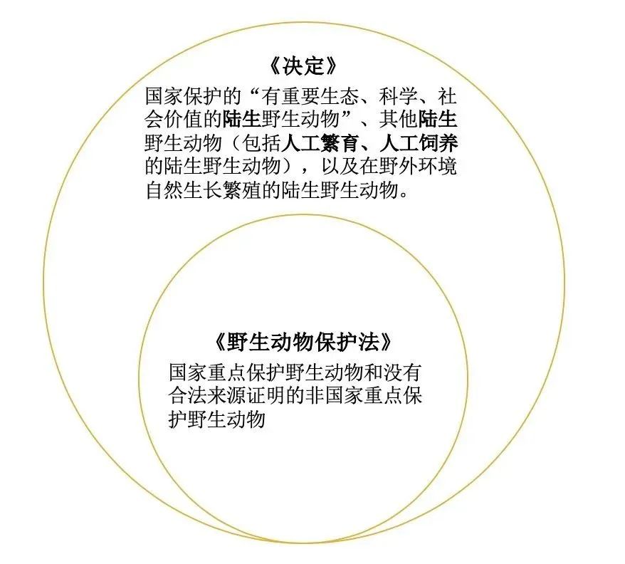 湖南人请注意：口味蛇、姜辣蛇，都不能吃了