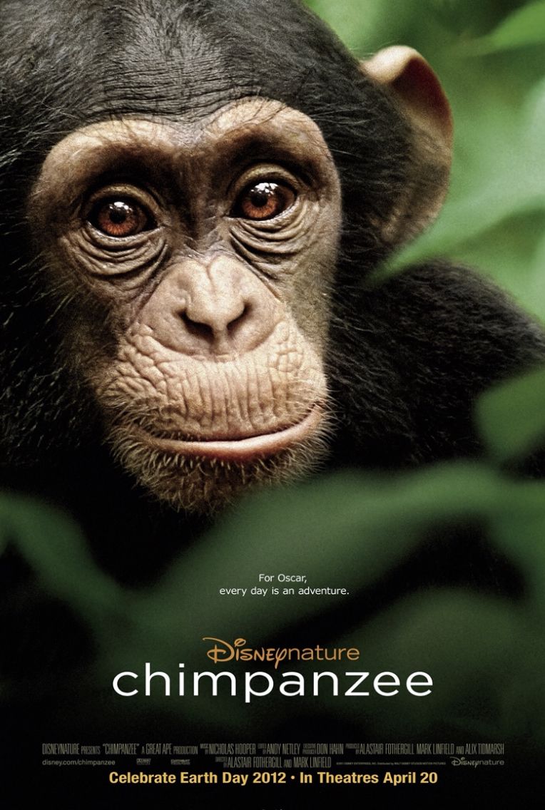 用这8部自然电影，让孩子读懂动物世界的生死悲欢