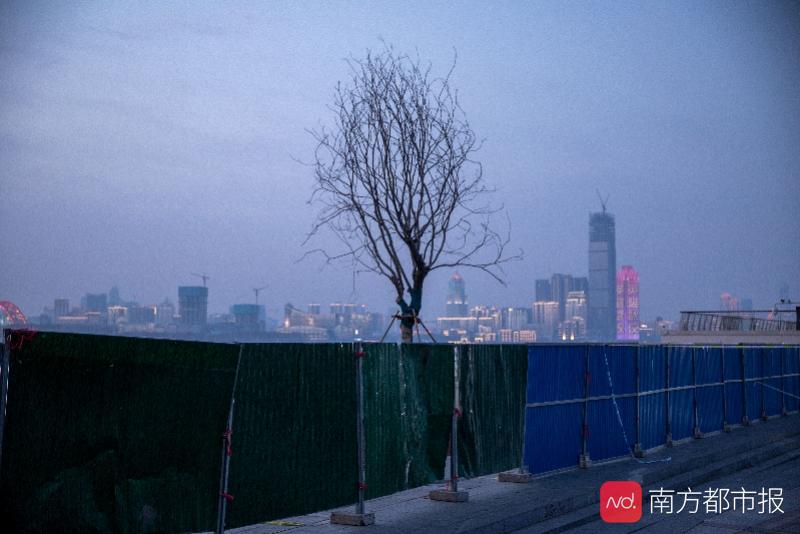 武汉封城近两个月，全球20个国家宣布进入紧急状态