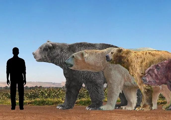 5种最可怕的史前物种，专门猎杀我们的人类祖先