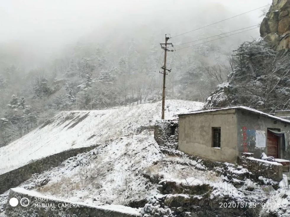 今天河南这些地方又下雪了，气象部门说：不是好事