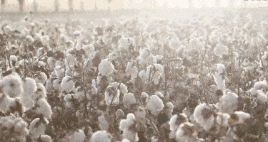 天丝质感家居服，精致又舒适