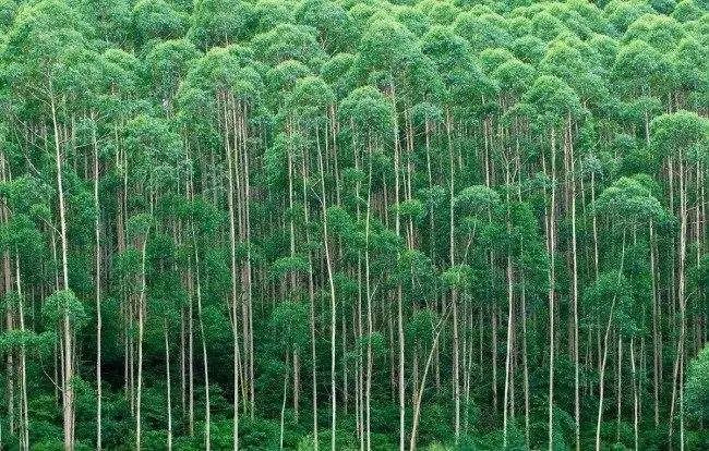 天丝质感家居服，精致又舒适