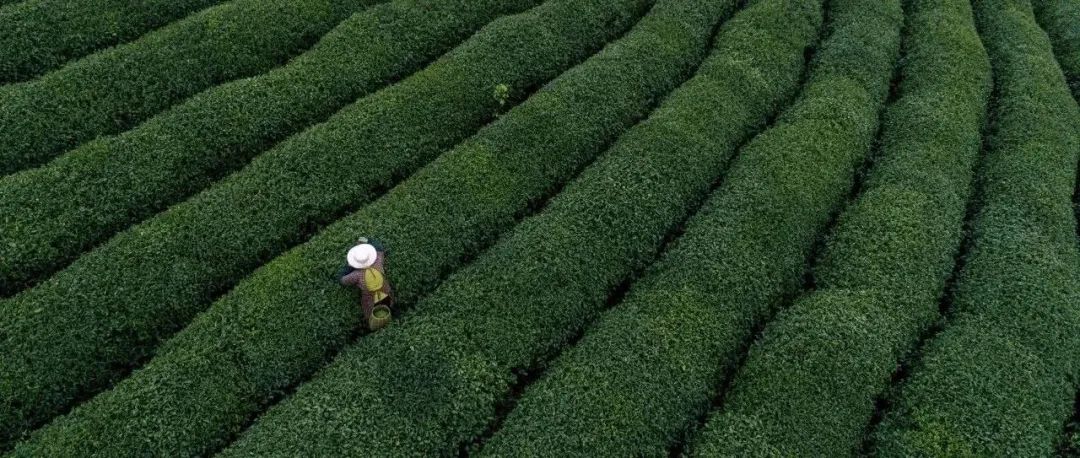 点赞 | 溧阳这些学校上榜全国名单