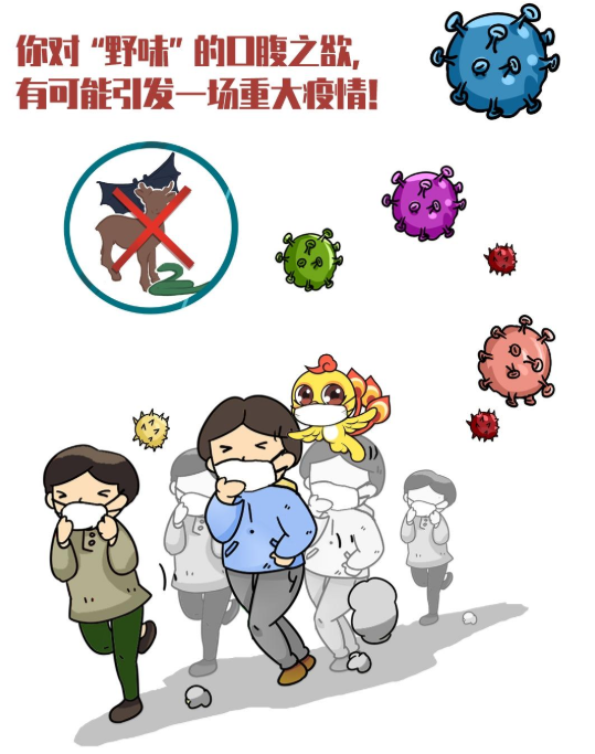水葫蘆的危害,水葫蘆的危害及治理措施