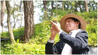 它是“天然青霉素”，每天一杯，慢慢地体验大自然的神奇