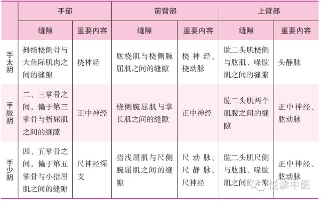 十四经络走向图，此文不看太可惜！
