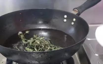 蒲公英怎么泡水（蒲公英是泡水好还是煮着喝好呢？现在学还不晚，别不当回事）
