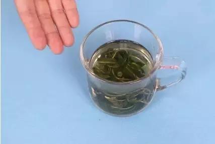 蒲公英怎么泡水，别不当回事