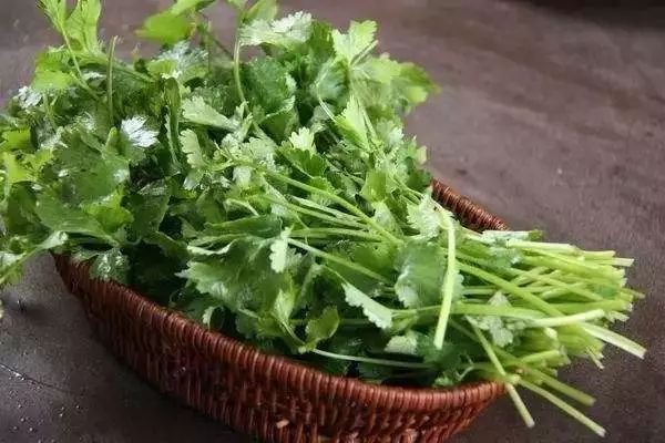这些诗词中的植物名，99%的人念不对