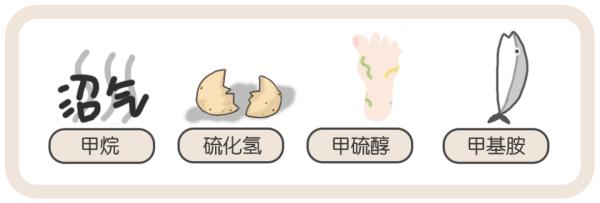 冰箱异味：食物的味道还是细菌的味道？5招教你避免