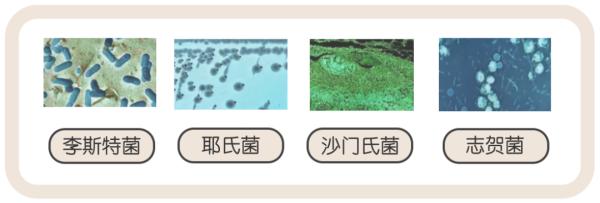 冰箱异味：食物的味道还是细菌的味道？5招教你避免