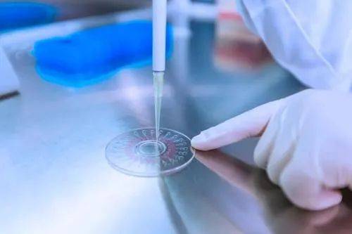 明确了！免3个月房租