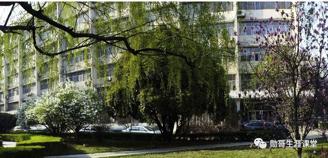 省外名气一般般，本省“首屈一指”的双非名校，可“捡漏”