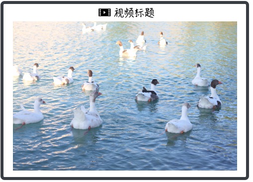 市场紧盯的MLF到底扮演着什么角色？| 闲话宏观（附视频）