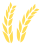 2016年感动中国十大人物事迹发布