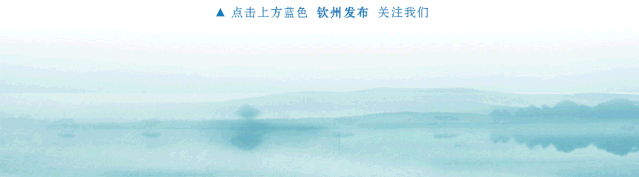 钦州一中2017高考喜报（老师）