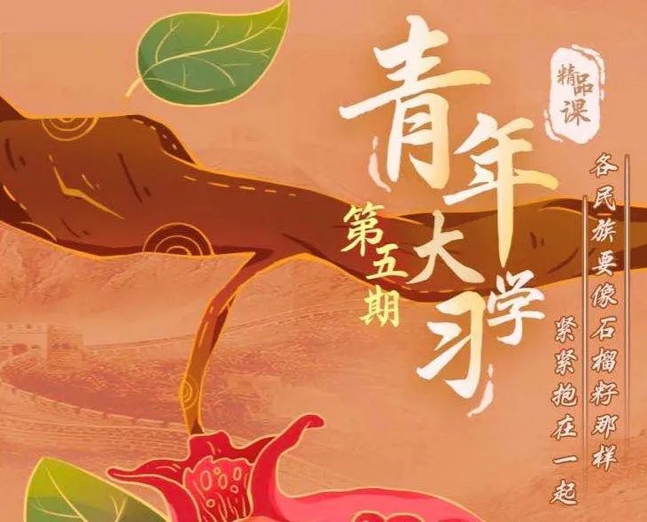 青年大学习第九季第五期：各民族要像石榴籽那样紧紧抱在一起（附上期排名）